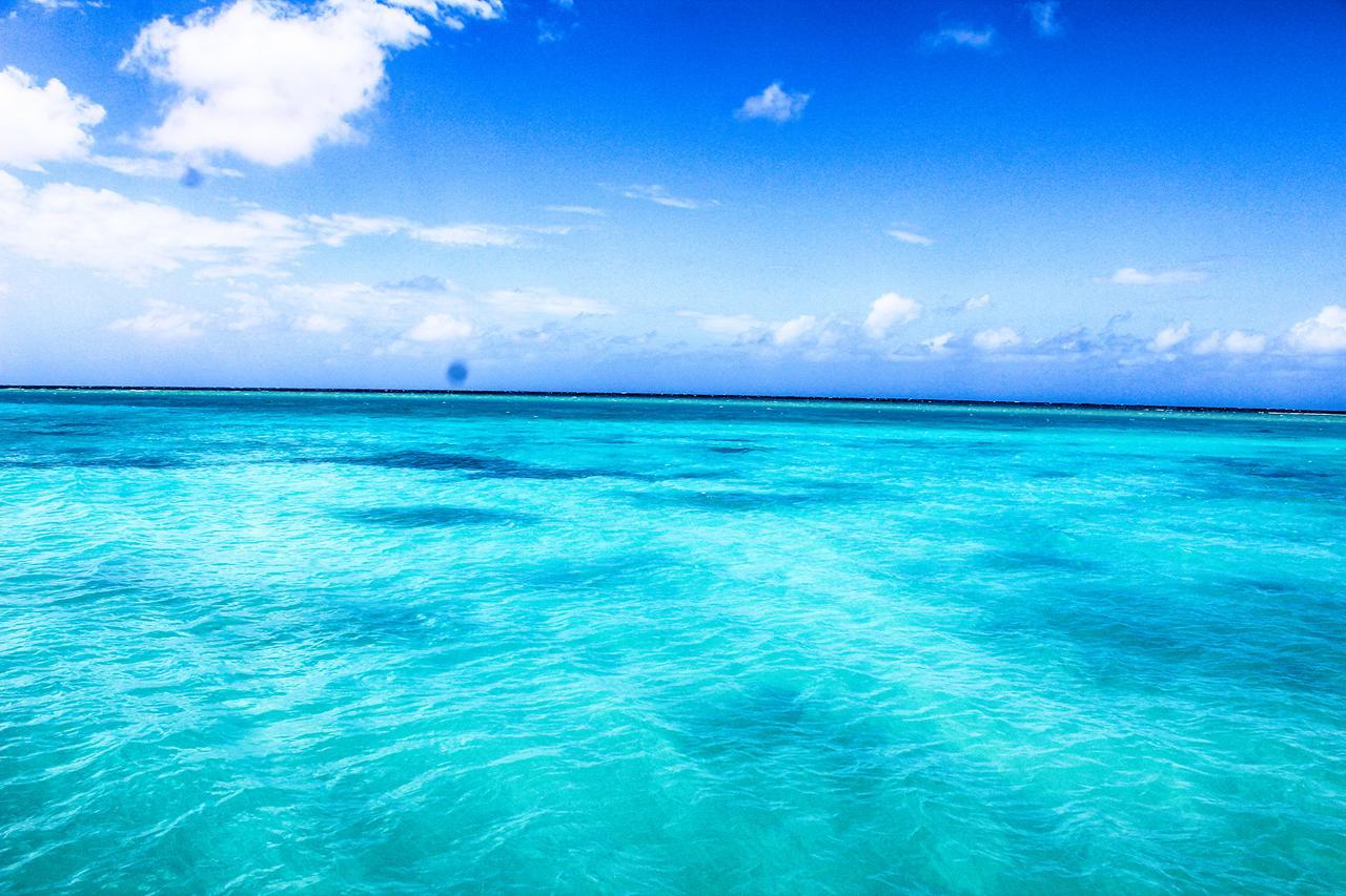 Seagarden Beach Resort Montego Bay Exteriér fotografie